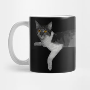 cat with strange eyes Mug